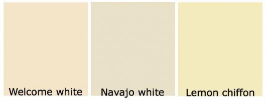 color palette